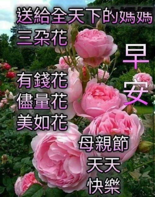 母亲节最火的文案有哪些？