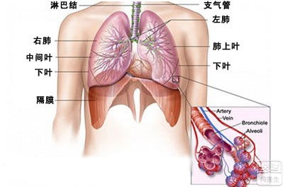 3岁孩子支气管炎咳嗽吃什么药