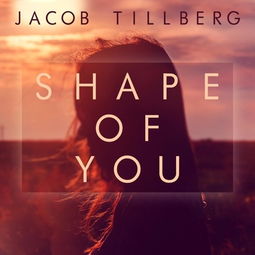 shape of you 百度云