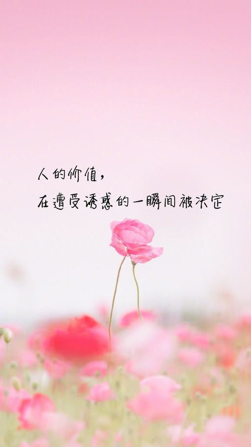 女人淡然宁静唯美心境短句