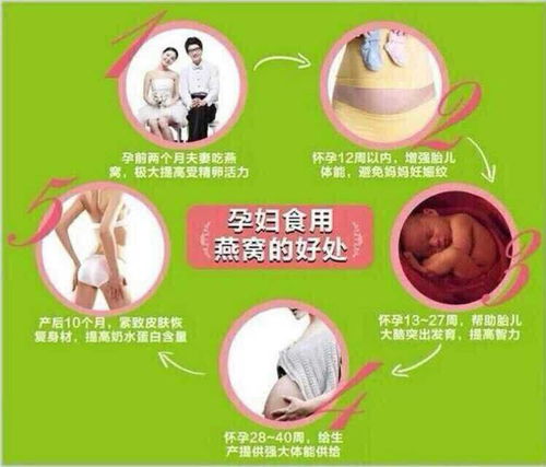 孕产妇需求的四种营养素是