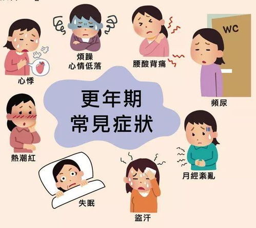 女人失眠句子有哪些