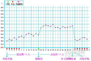 排卵期试纸怎么使用最正确