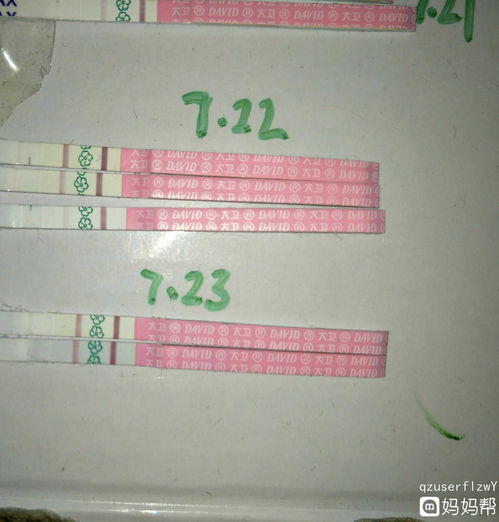 1.3×1.1的卵泡还需要多久才能排卵