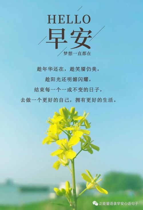 202年早安的祝福语