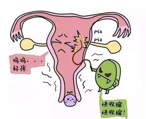 做刮宫手术需要多长时间