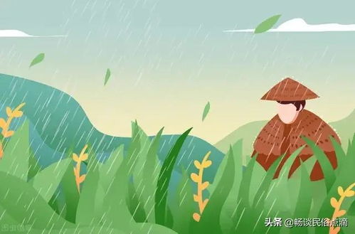 谷雨过后,下一个节气是什么?