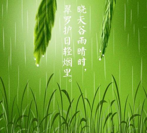 谷雨过后,下一个节气是什么?