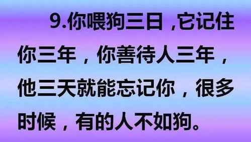 安全句子大全短句