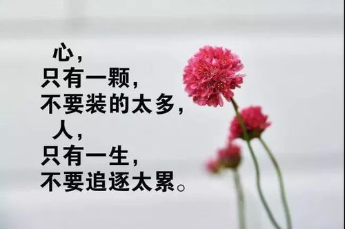 花与生活唯美句子[精选107句中文