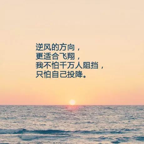 自律励志短句[共113句