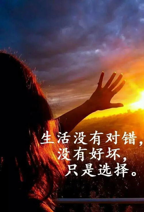 心灵鸡汤励志的句子经典语句