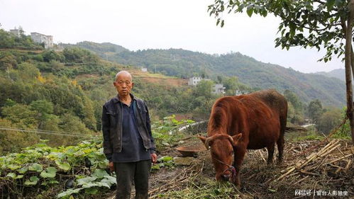 找本书 主角是个捡破烂的孤儿 有次捡了个管子 被抢打中 罐子了是上古留下的血 跟主角自身融合