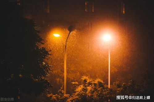 雨夜凄凉的句子