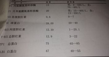 27周宫高正常是多少正常