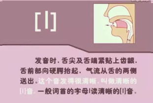 menstrual leave怎么读