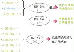 hellp综合征鉴别诊断表格