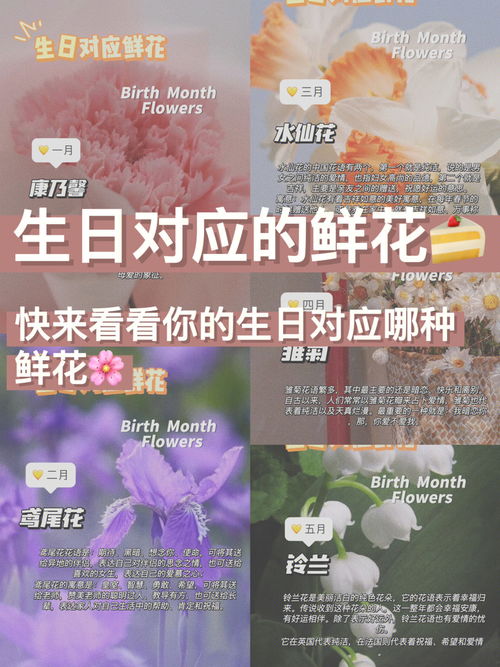 女生生日文案短句干净