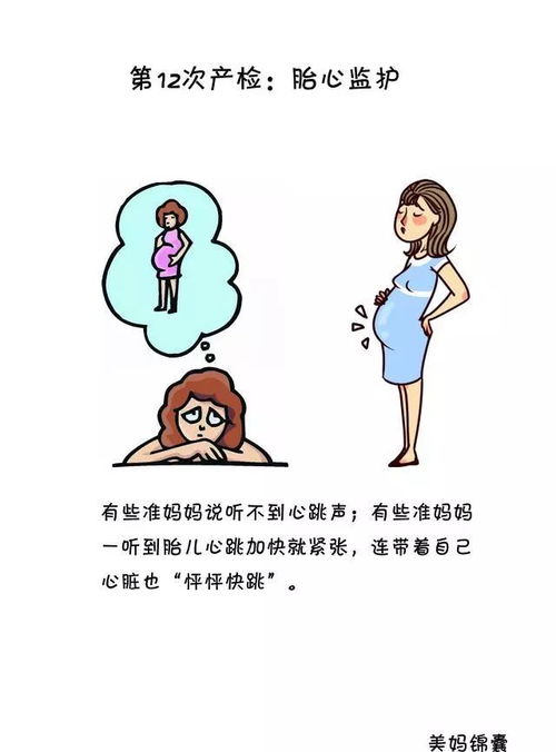 高龄孕妈需特别注意保胎吗