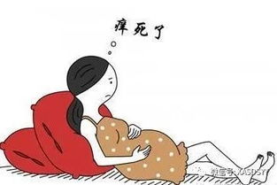 妊娠胆汁淤积症查什么项目