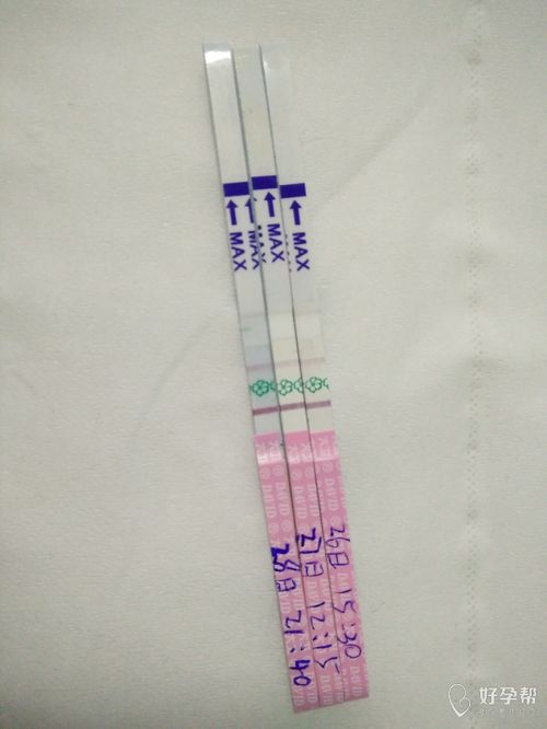 排卵试纸一直弱阳会不会怀孕