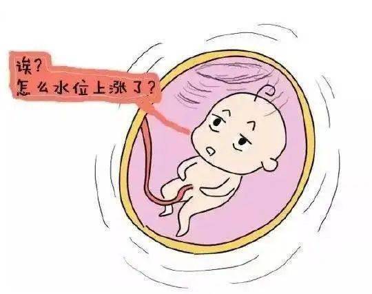 羊水的来源及功能是什么?