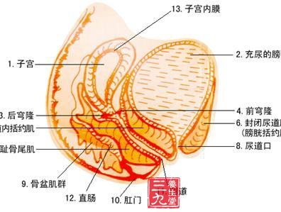 子宫慢性内膜炎哪些不能吃