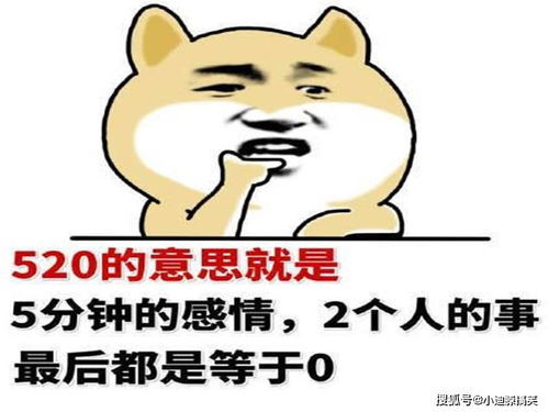 关于搞笑段子短句文案