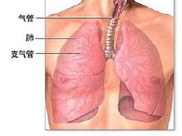 用偏方怎么治支气管炎？