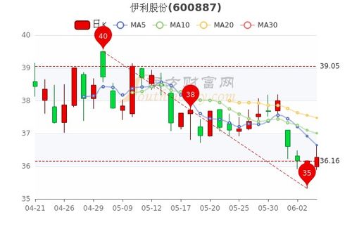 伊利股份会回调吗