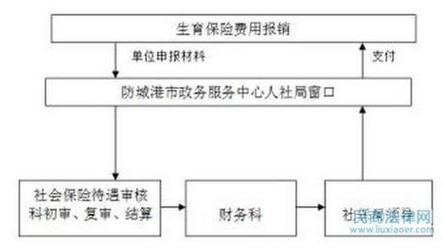 异地分娩深圳医保怎么报销