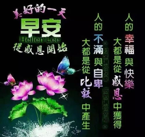 给老朋友晚安祝福问候语