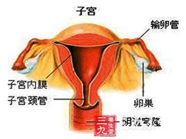 多囊卵巢综合症很可怕吗