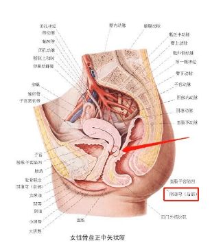 卫生棉条会不会漏血