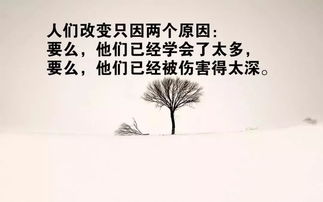 2020最火的情感语录