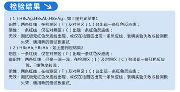 有两对半抗体会被传染吗