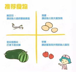 孕早期的膳食指南