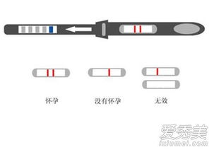 可丽蓝验孕棒怎么看求图解