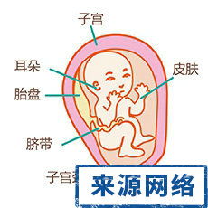 怀孕23周咳嗽怎么办呢