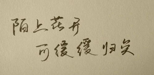 古文早安撩人情话[共计113句怎么写