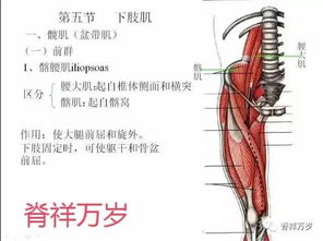 女人的小肚子为什么容易膨胀、膨胀这还疼；难受