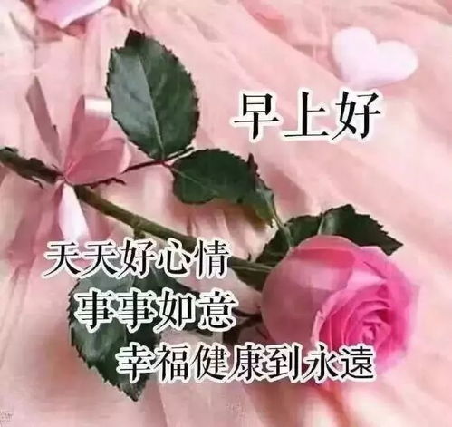 早上好最美的短句