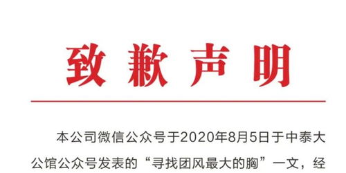 适合官宣的高级小众温柔文案