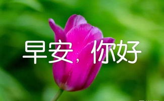 祝福朋友早上好的语句[经典66段怎么说