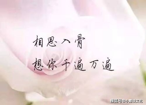 个性甜蜜爱情说说