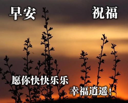 努力就无悔的句子