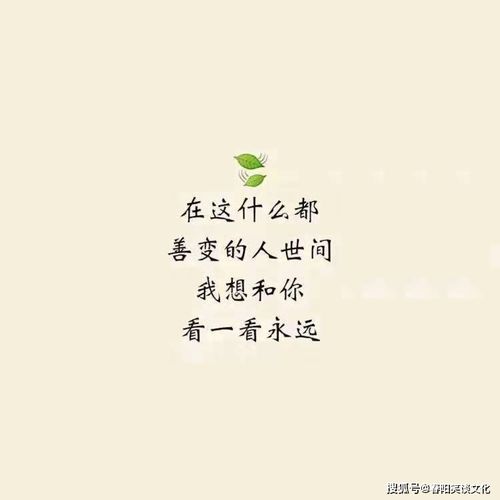 抖音经典词语4个字