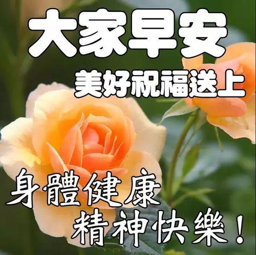 周一祝福问候语