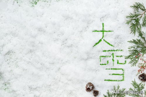 形容立春后的雪的句子