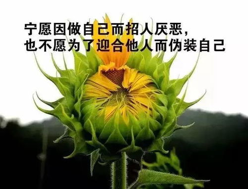 拍花的文案